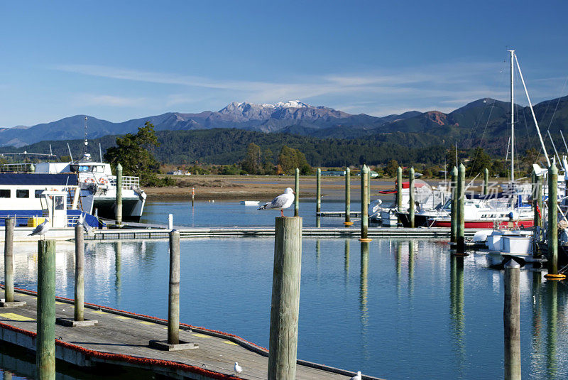 Motueka Marina，塔斯曼湾，新西兰